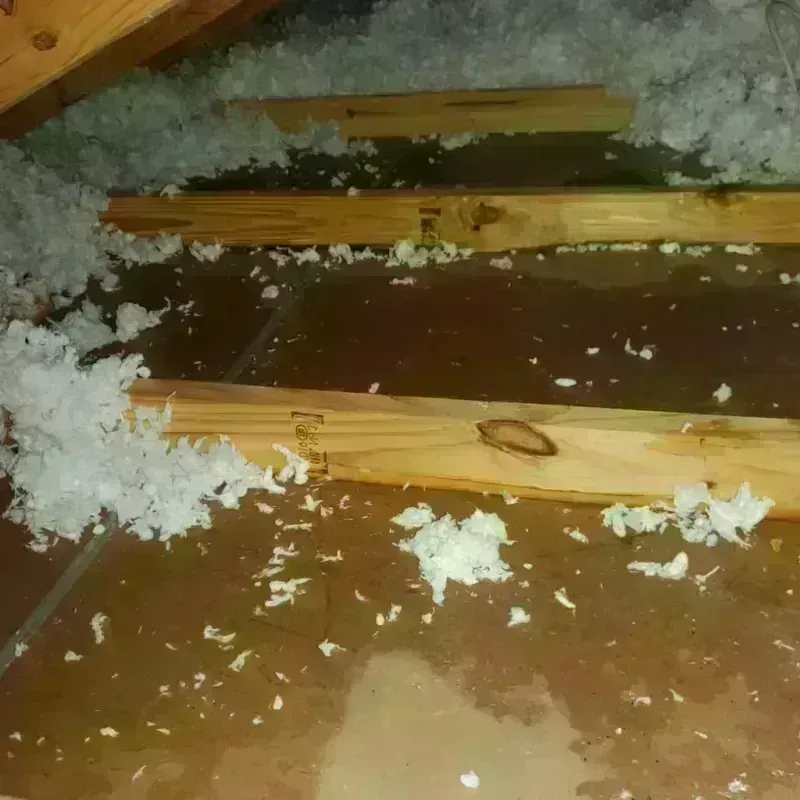 Attic Water Damage in Salem, AR