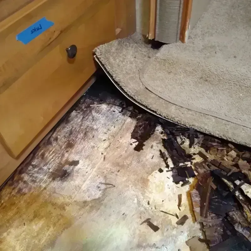 Wood Floor Water Damage in Salem, AR